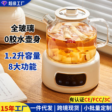 养生壶无胶水办公室煮茶专用烧水壶全玻璃壶身花茶壶跨境110V电压