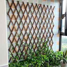 户外防腐木阳台栅栏伸缩网格防晒篱笆花园庭院墙面月季专用攀爬架