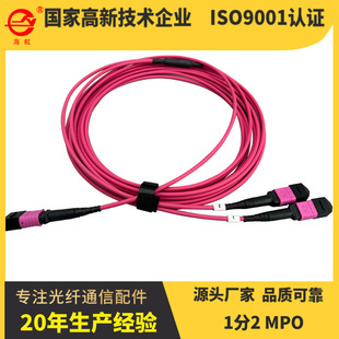 1 Point 2Mpo Fiber Optic Jumper Om3 Multi-Mode 8-Core 16-Core 24-Core 40G100G400G Data Center Mpo
