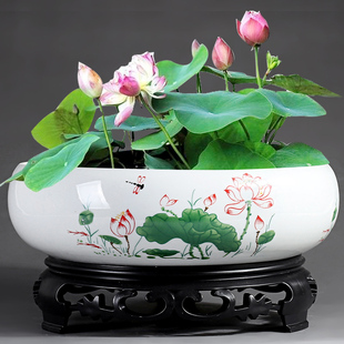 Large Non-Porous Bowl Lotus Hydroponic Pennywort Narcissus Pothos Flower Pot Ceramic Pot Creative Water Culture Special Container