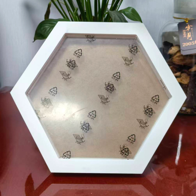 Creative Casual Hexagonal Painting Frame Hexagonal Photo Frame Polygonal Cultural Photo Wall Decoration Hollow 1cm Photo Frame