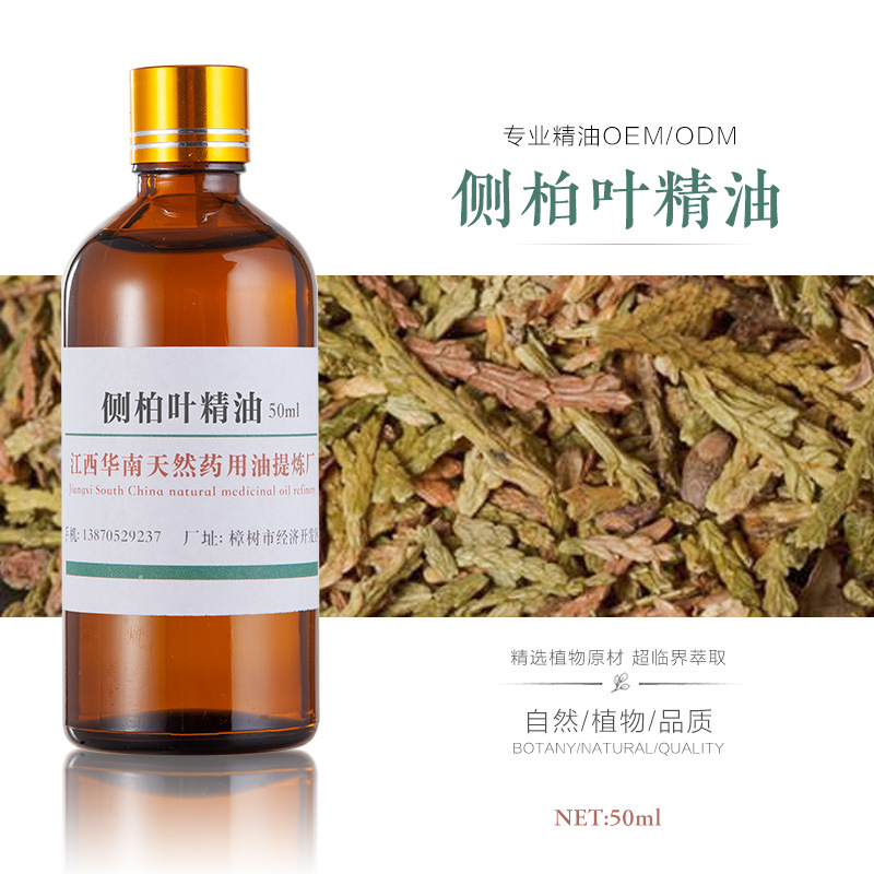 厂家批发 侧柏叶精油 单方精油 植物精油 按摩精油