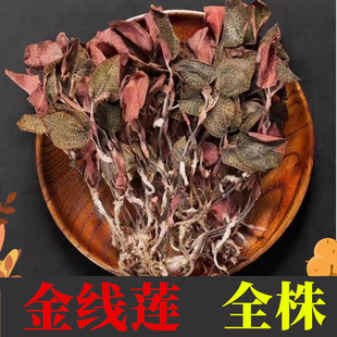 ��ɏԴ�^���l���~ȫ�����·Nֲ���~���m��؛��ˮ���l��ɏ