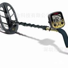 �M�᠖ GOLD BUG DP/Pro �S��̽�y�� ����̽�y�� ̽����