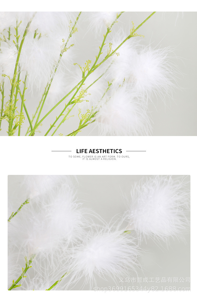 O1CN01x2eMw61Fz9GnjyiF4_!!9481