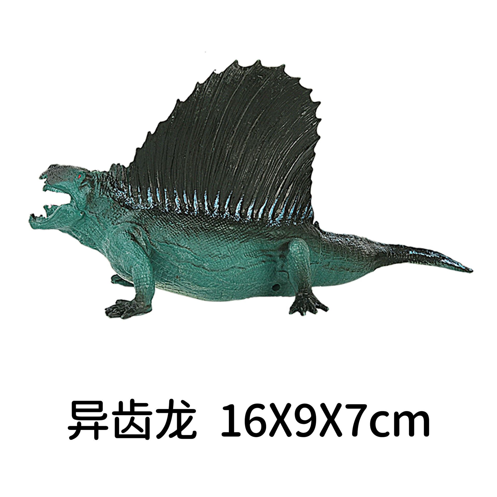 7 인치 중공 시뮬레이션 다른 이빨 용