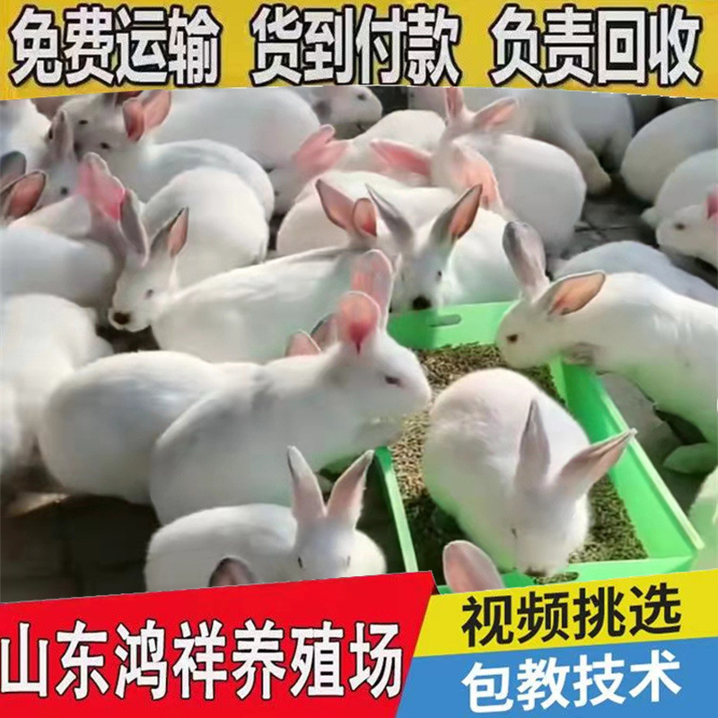 45d2adee-16c0-4b3a-a898-61fc96