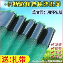 �����ܷ����rС����Ĥ���rţ��С���r���~С���r�����r�W����̫��