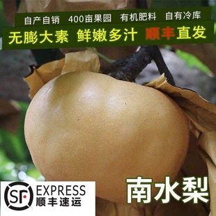 ��ɽ�|�خa�Rꖡ���ˮ�����rˮ��������������������֭�A�S�Sˮ