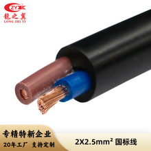 RVV2*2.5 聚氯乙烯護套軟電線 REACH標准 龍之翼線纜 插頭監控線