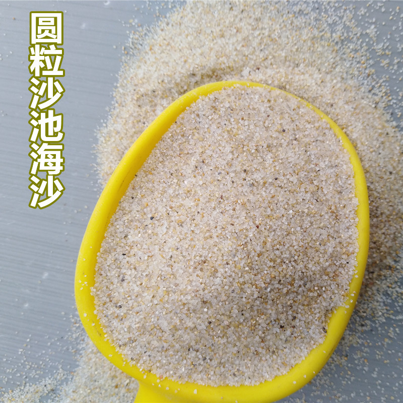 儿童海沙30-50目圆粒石英砂 承德幼儿园游乐场沙池沙无尘颗粒海砂