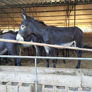 �����H�Bֳ��_�P��Сë�H�r�����H�r����������H��һ��