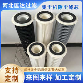 替代安满能除尘滤芯石墨机粉覆膜除尘滤筒集尘机油雾回收除尘滤芯