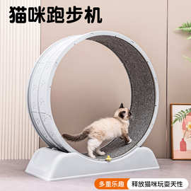 跨境新款猫咪宠物用品狗狗健身运动静音大型猫爬架跑步机玩具批发