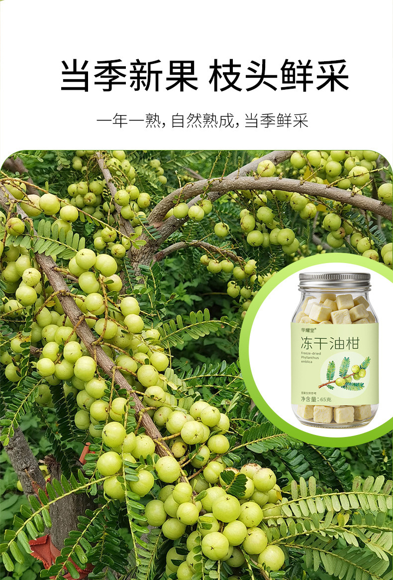 Freeze-Dried Amla Tea Yu Gan Zi Herbal Infusion 65g Canister Sugar-Free Hot Brew specifications