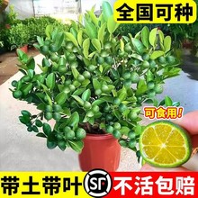 ����С�������玧����ˮ���ʘ��Ϸ������҃ȿ͏d������Թ������