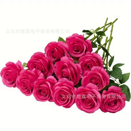 Rose red