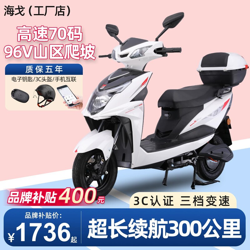 Electric Scooter with Long Range, High Power, Mountain Climbing Capability, High Speed, Adult Two-Wheeler, Delivery Electric Bike, Export-Specific