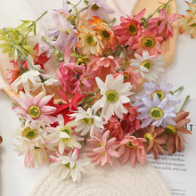 �¿���滨���^���˾ռٻ� ��c�b�diy�^�������zӰ�������l