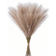 F 63369 Artificial pampas grass ����«έ�羳����ͨ����