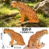 X154 Internet celebrity large leopard