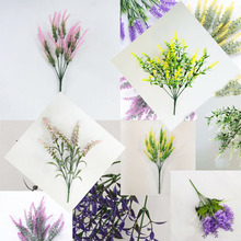 5ֲq޹²@Lc滨ֲϼٻl