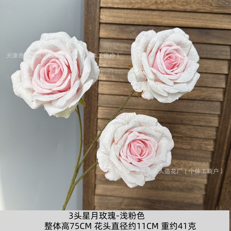 별과 달 장미 3송이