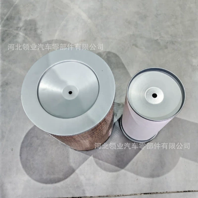 Air filter Filter 2996155 Filter