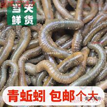 ���w������r��������S�X����ش���������������ញ�����