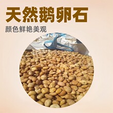 �Z��ʯͥԺ�쾰 ���@�g��ʯ��Ϫ�b�ʯ ��ƺ�c�Yʯ��h��ͥԺ�ř�