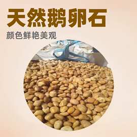 鹅卵石庭院造景 花园驳岸石流溪装饰石 草坪点缀石竹篱笆庭院栅栏