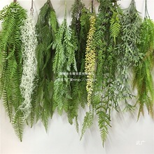 ���ڴ����ٻ�����b��ٗlާ�~�Gֲ�ڒ�Gɫֲ����m�ܵ�ާ�