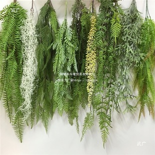 ���ڴ����ٻ�����b��ٗlާ�~�Gֲ�ڒ�Gɫֲ����m�ܵ�ާ�