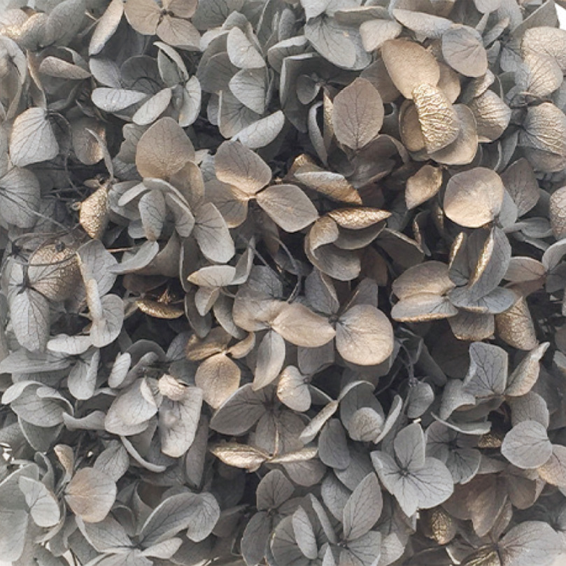 Anna Hortensia gris + oro-20g/caja