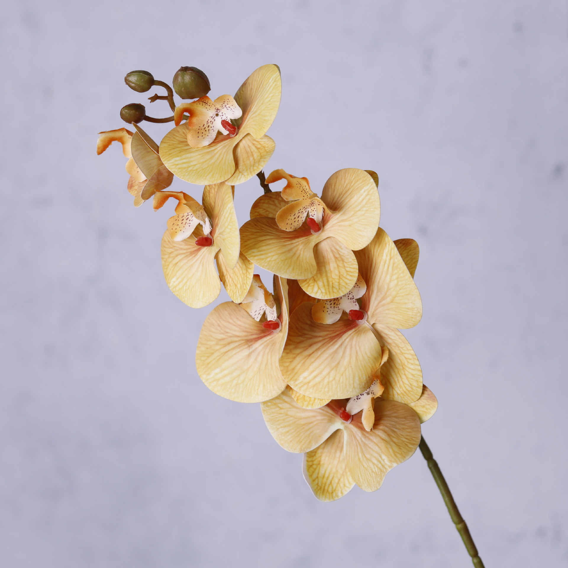 Impresión 3D de 7 cabezas de orquídeas mariposa flor de decoración de flores de alto nivel flor de nicho decoración floral decoración de sala de estar