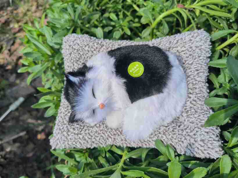 Decoración interior del automóvil adornos de automóviles carbón activado para dormir gato muñeca bolsa de carbón de bambú para gatos para eliminar formaldehído para eliminar el olor de carbón de bambú gato image 7