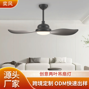 New Two-Blade Fan Lamp for Restaurant Minimalist Living Room Silent Frequency Conversion Bedroom Study Ceiling Fan Lamp Creative Fan Lamp