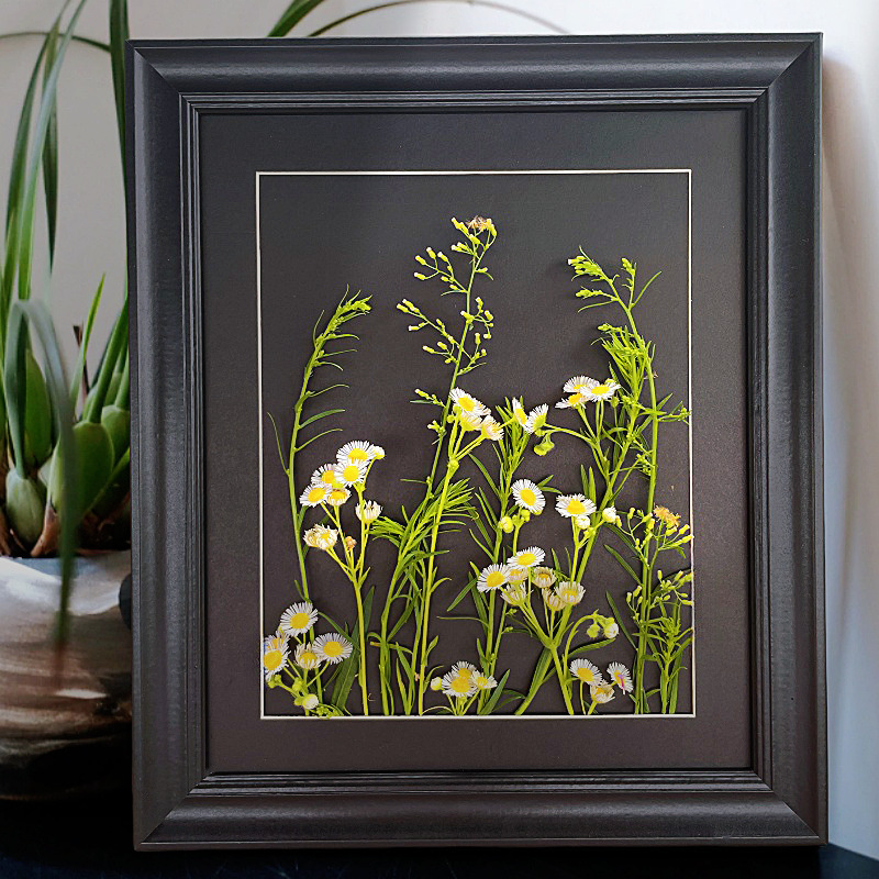 Large Black Photo Frame Plant Specimen Frame Pressed Flower Paper-Cut Picture Frame DIY Handmade Mounting Creative Wall Hanging Empty Frame