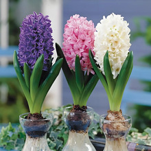 LӷNˮBײͶˮѿͺ׻ֲ҃Ȼ