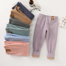 奇巧熊无骨德绒保暖裤 儿童秋冬加厚秋裤加绒棉裤加厚弹力护腰裤