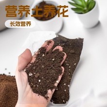 lͨ͠IBNNBNֲG}NֲNֲ