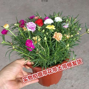 ��������������̫ꖻ����ɫ�ذ����Ի��ļ��_�������̨ͥԺ���l