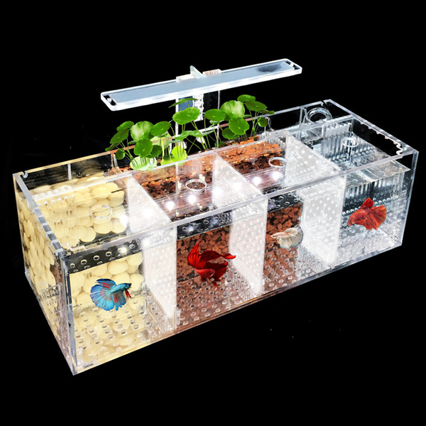 Acrylic aquarium
