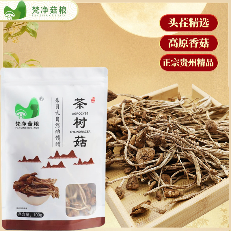 梵净山茶树菇甄选开伞切根新菌菇煲汤炒菜精选食材茶树菇