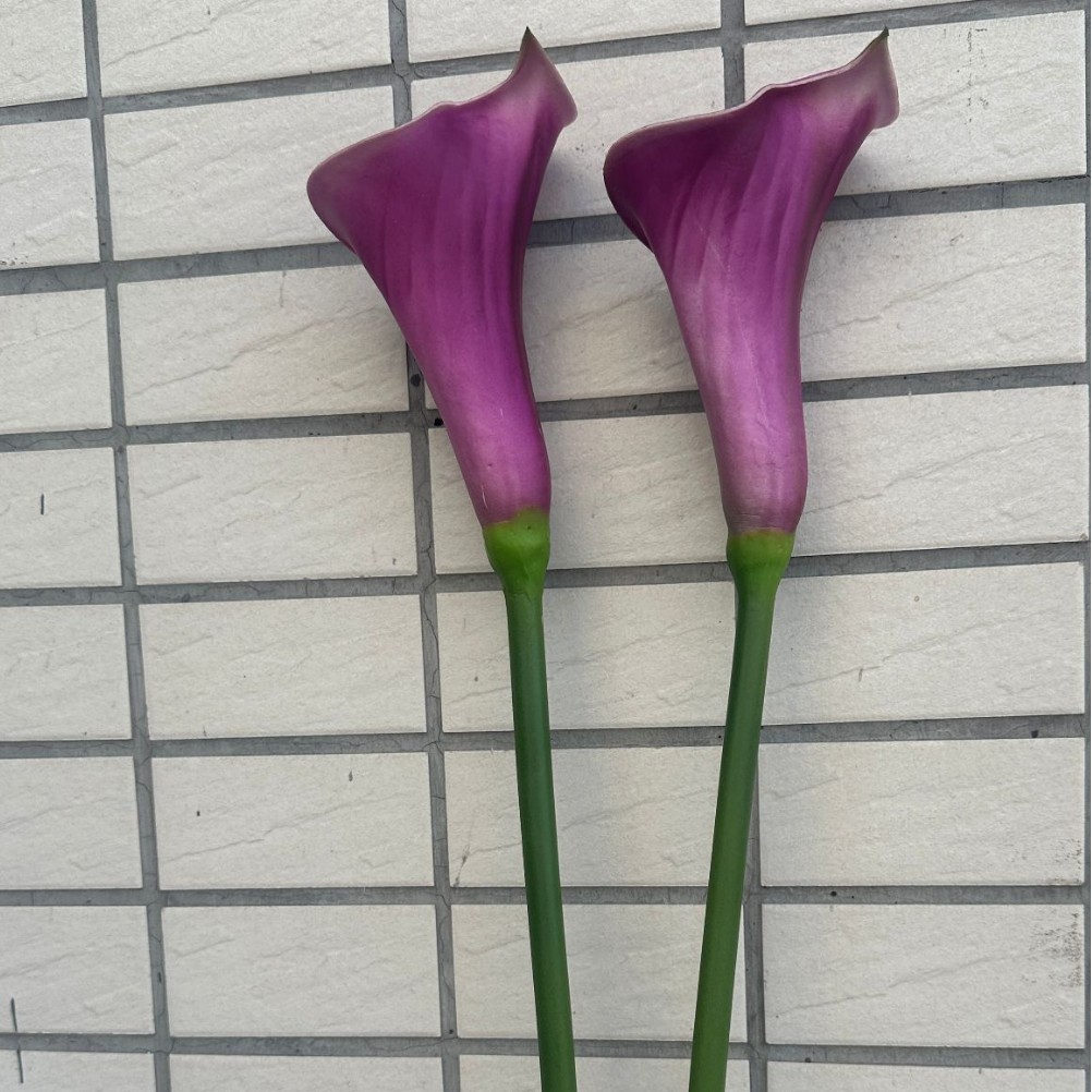 연보라색