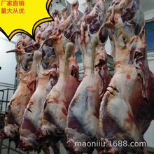 牦牛肉批发 新鲜牦牛肉价格 青海西宁临夏甘南牦牛肉多少钱一斤
