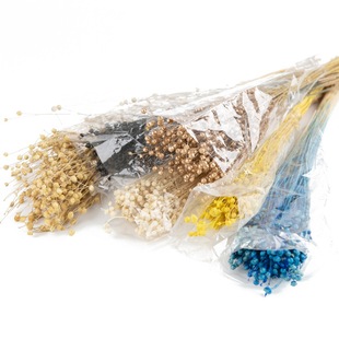 INS�滨�ɻ�������˼�����鶹���F����@�L��Ҿ��b�DIY�廨����