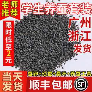 �Q�����Q���Q�ьW���B�Q���b���w�Q�N���Q�ͷ������Zëɣ�~������