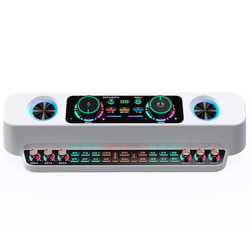 新製品 s19 ライブサウンドカードフルセットアンカー録音と歌専用コンピュータ携帯電話ユニバーサル 48v コンデンサーマイク|undefined