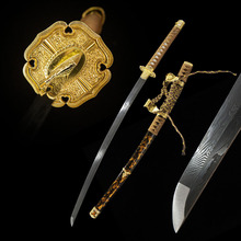 QlRʿձ|̫һwֹLTachiδ_